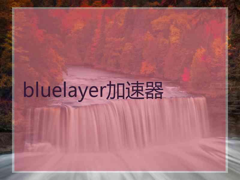 bluelayer加速器