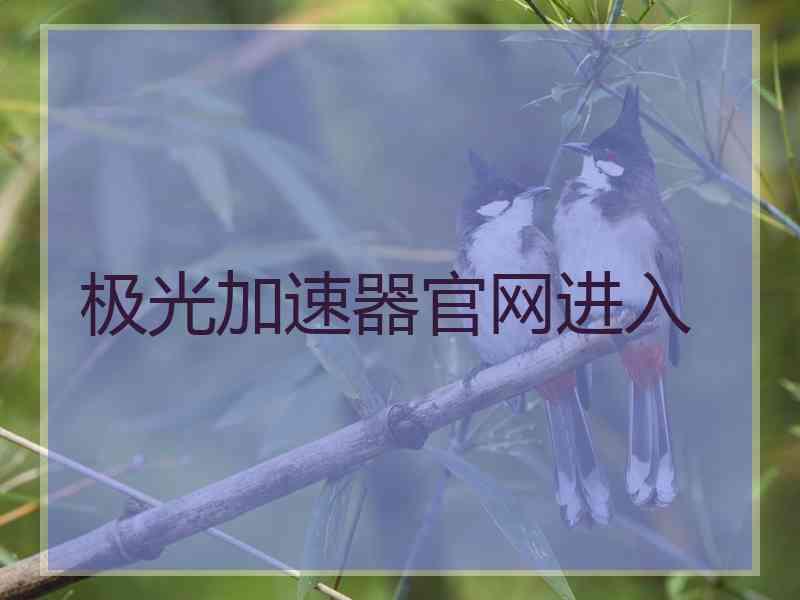 极光加速器官网进入