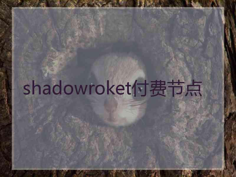 shadowroket付费节点