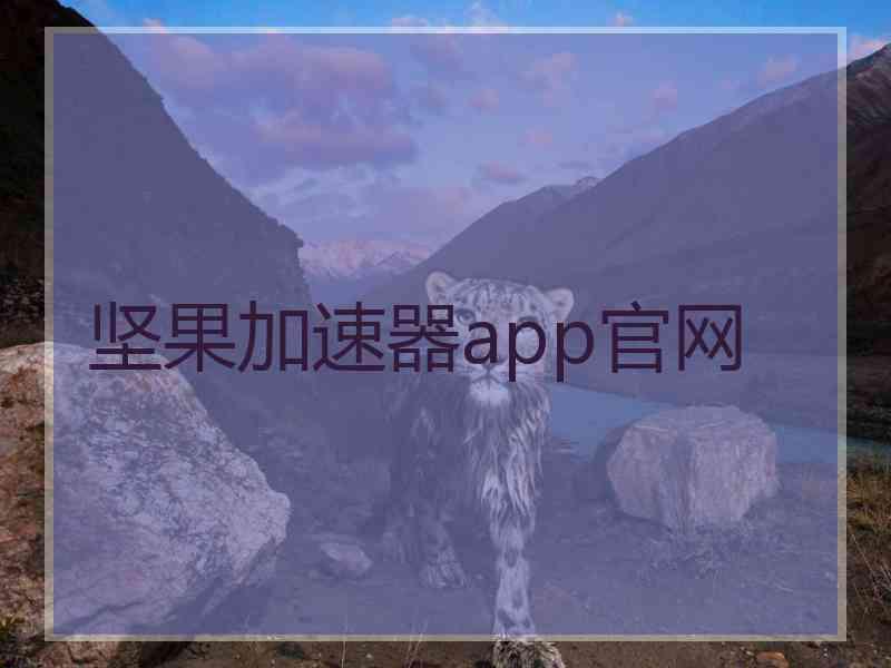 坚果加速器app官网