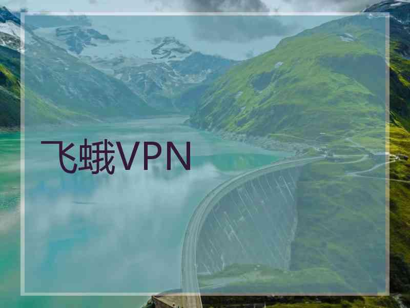 飞蛾VPN