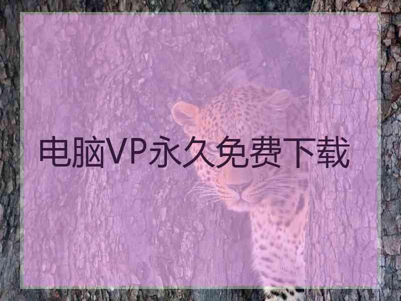 电脑VP永久免费下载