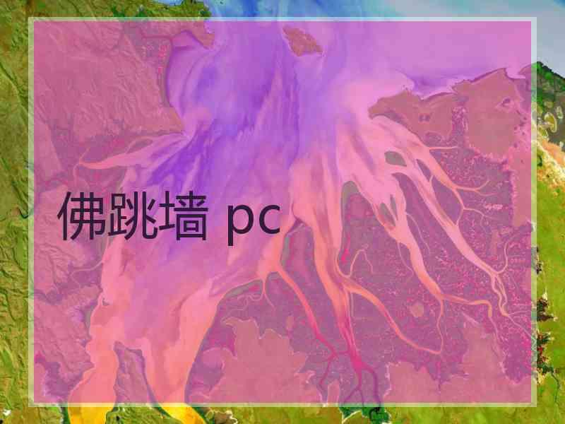 佛跳墙 pc