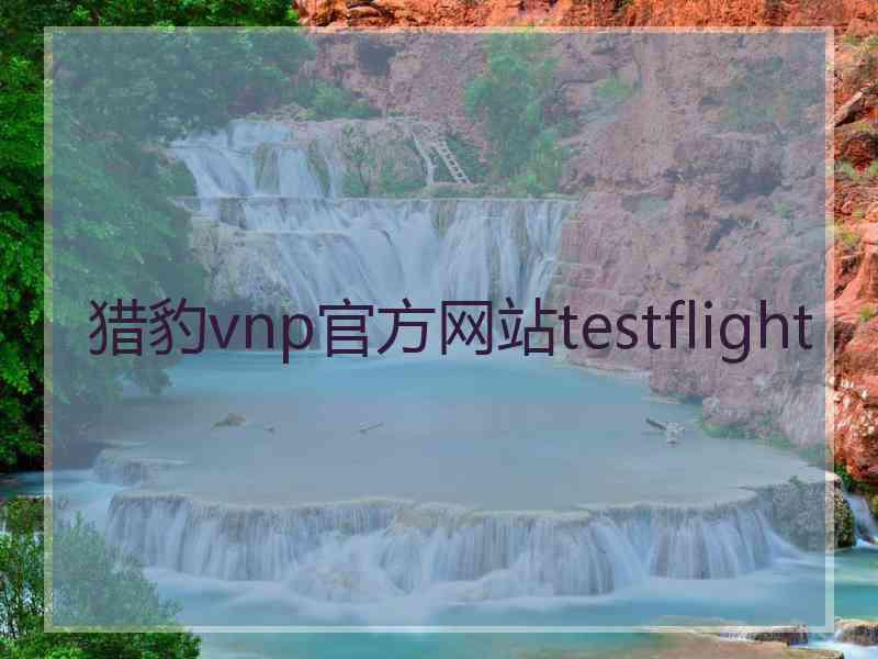 猎豹vnp官方网站testflight