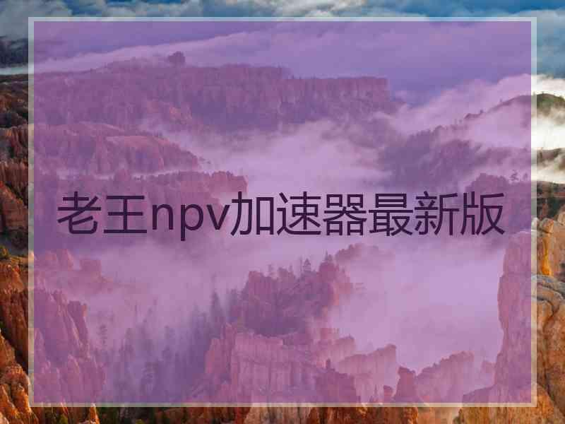 老王npv加速器最新版