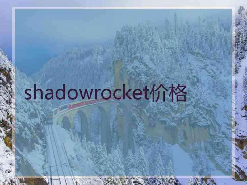 shadowrocket价格