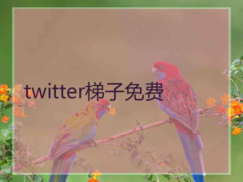 twitter梯子免费