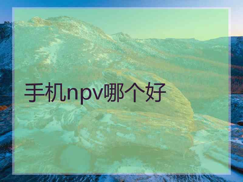 手机npv哪个好