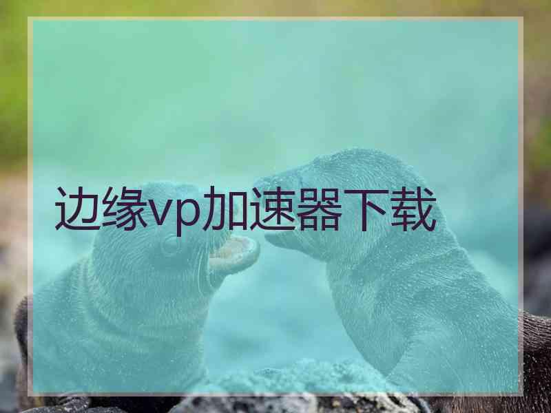 边缘vp加速器下载