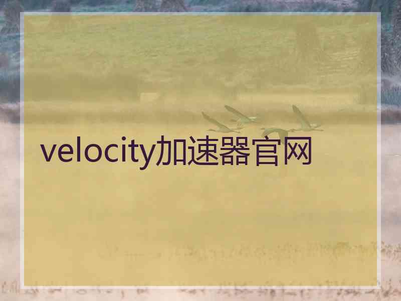 velocity加速器官网