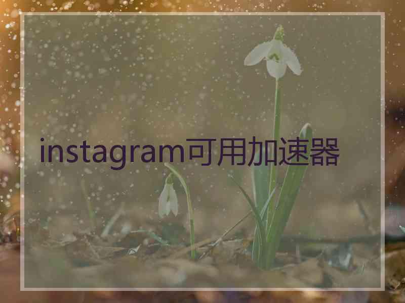 instagram可用加速器