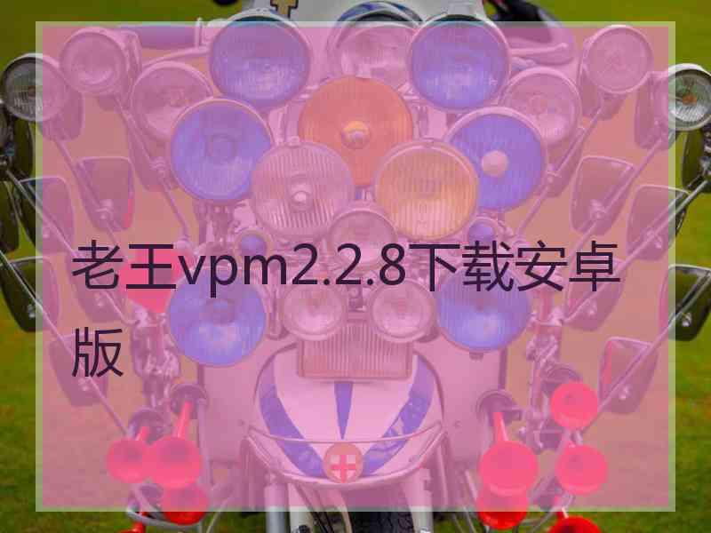 老王vpm2.2.8下载安卓版