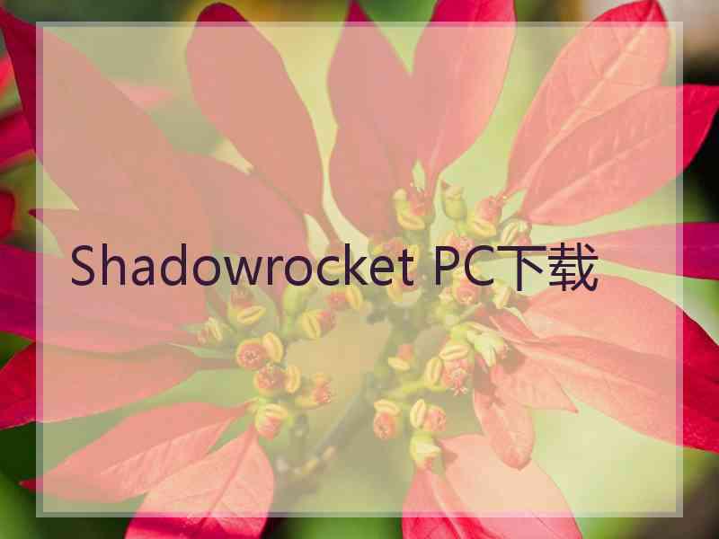 Shadowrocket PC下载