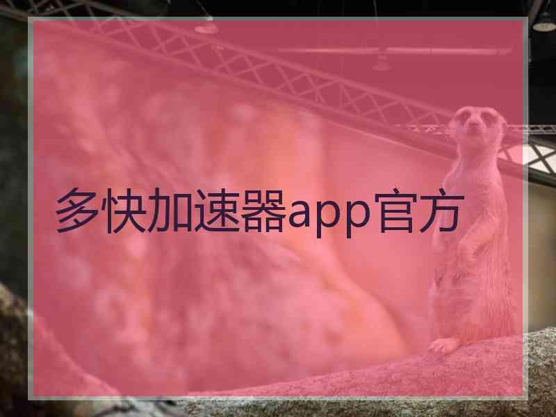 多快加速器app官方