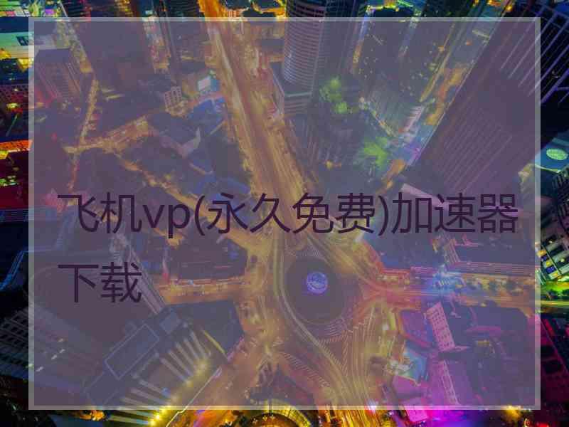 飞机vp(永久免费)加速器下载