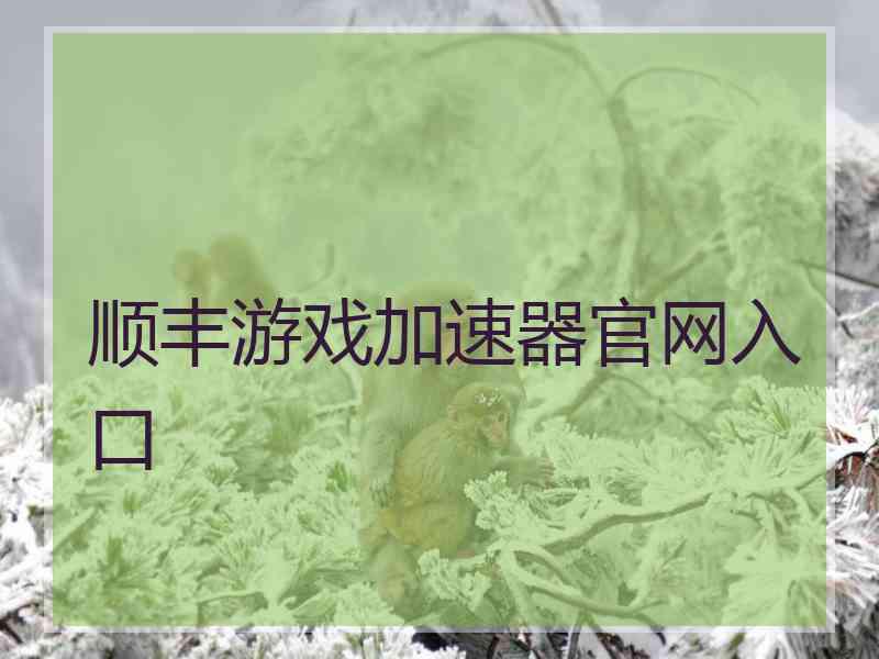 顺丰游戏加速器官网入口