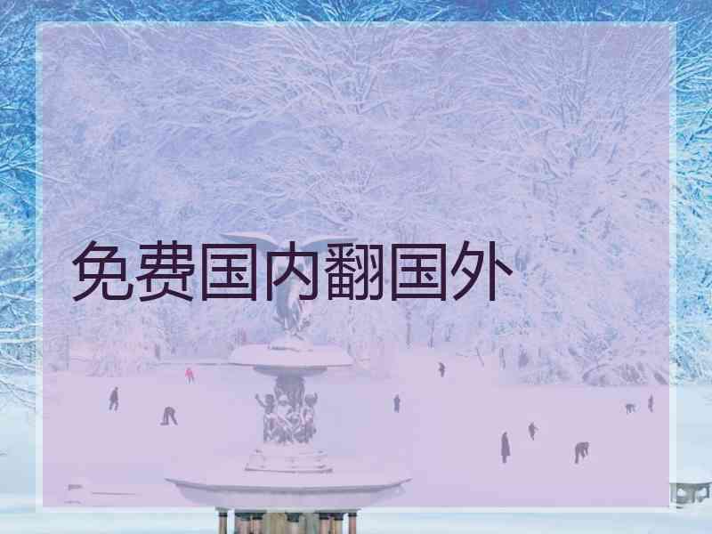 免费国内翻国外