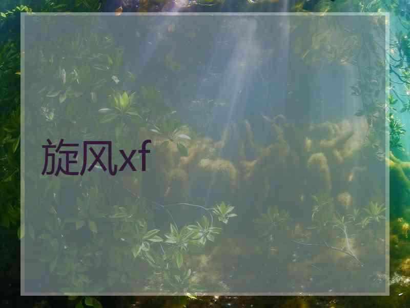 旋风xf