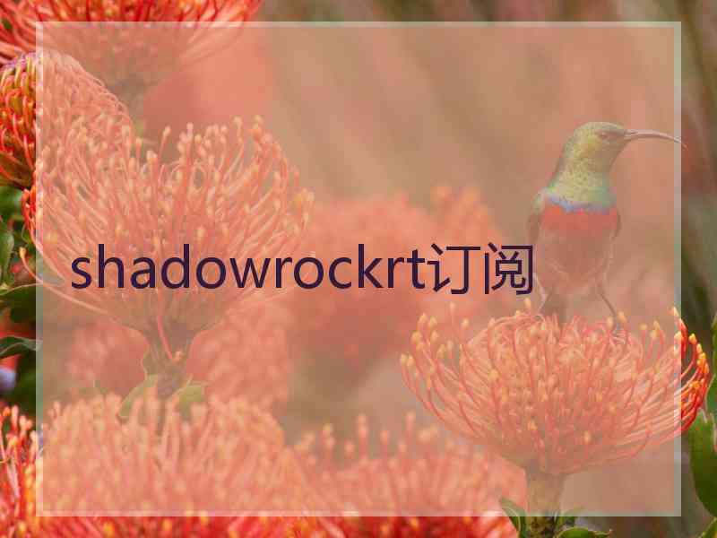 shadowrockrt订阅