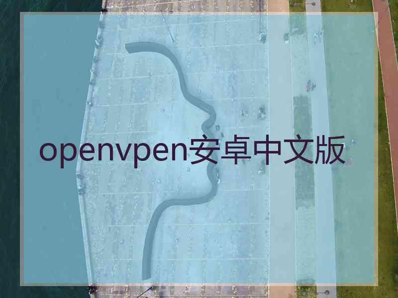 openvpen安卓中文版