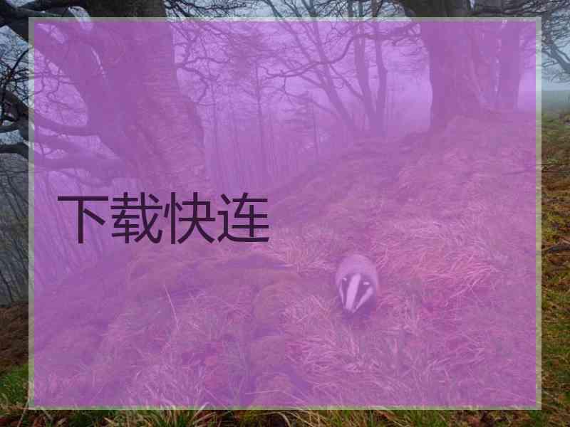 下载快连