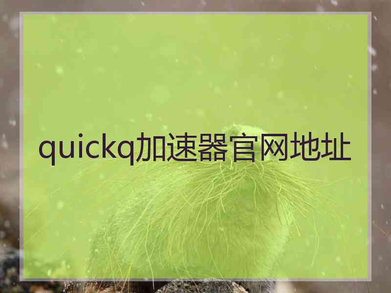 quickq加速器官网地址