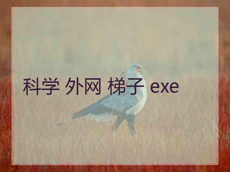 科学 外网 梯子 exe