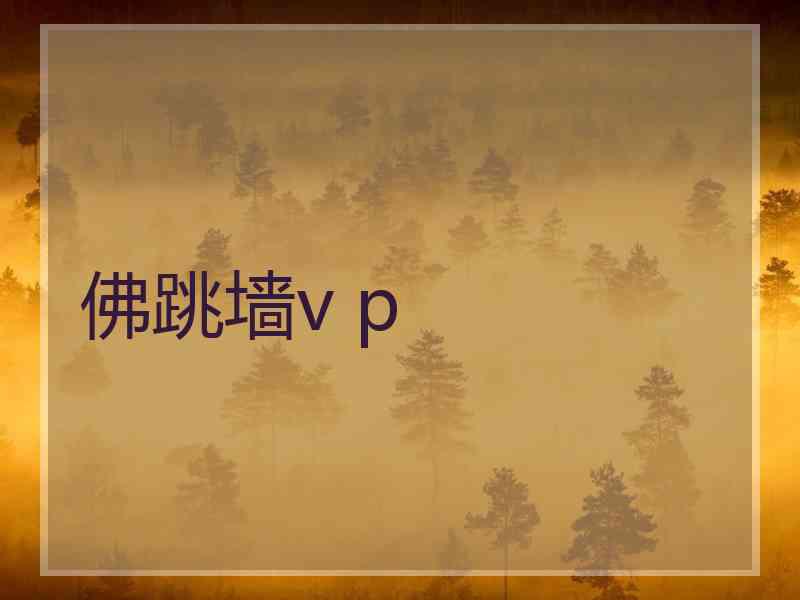 佛跳墙v p