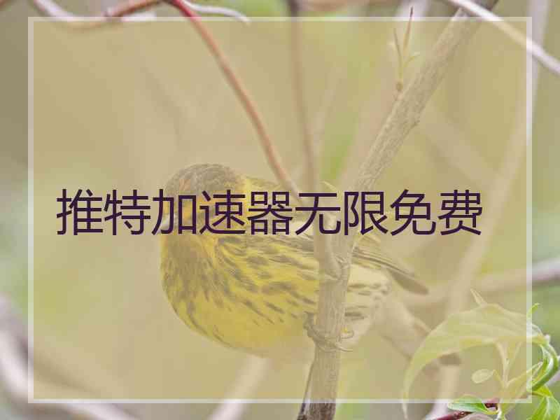 推特加速器无限免费