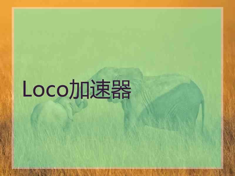 Loco加速器