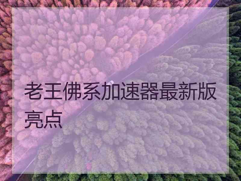 老王佛系加速器最新版亮点