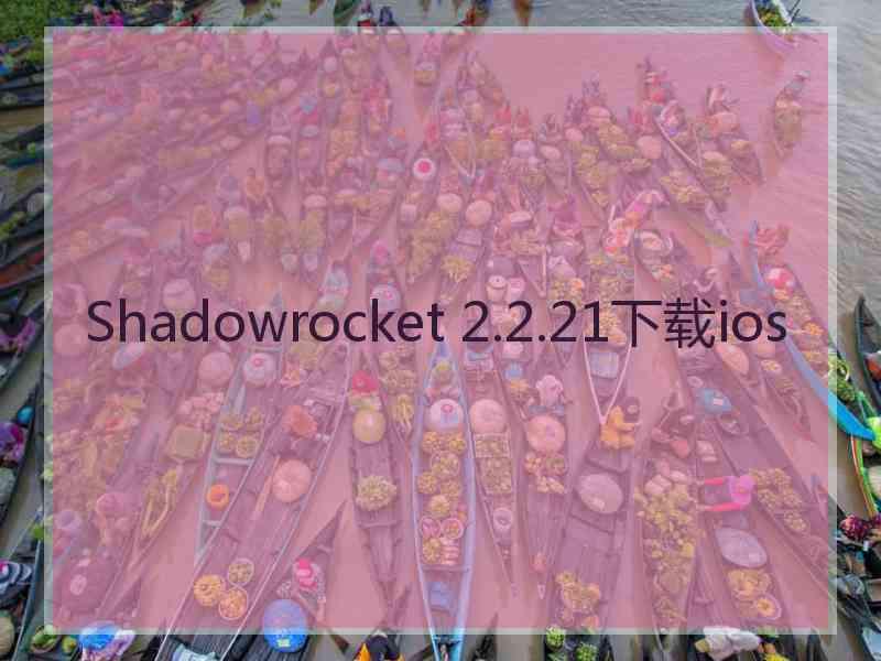 Shadowrocket 2.2.21下载ios