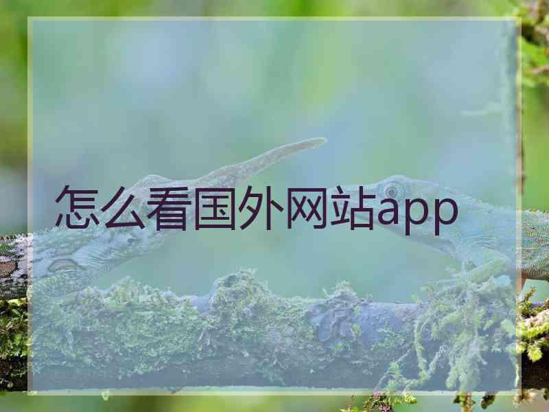 怎么看国外网站app