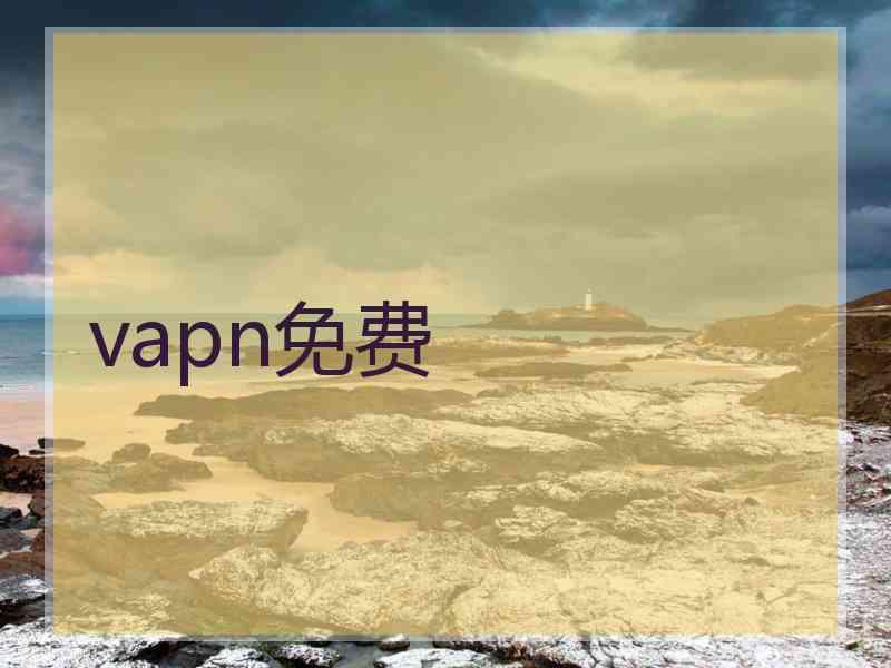 vapn免费