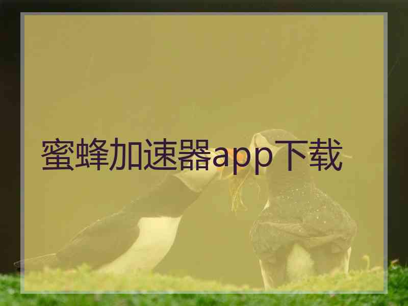 蜜蜂加速器app下载