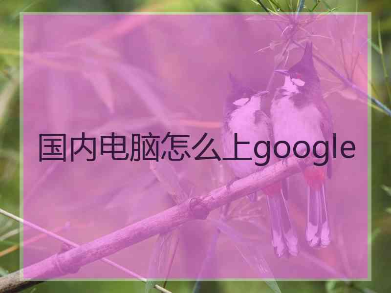 国内电脑怎么上google