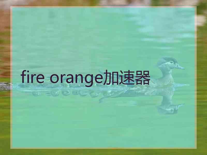 fire orange加速器