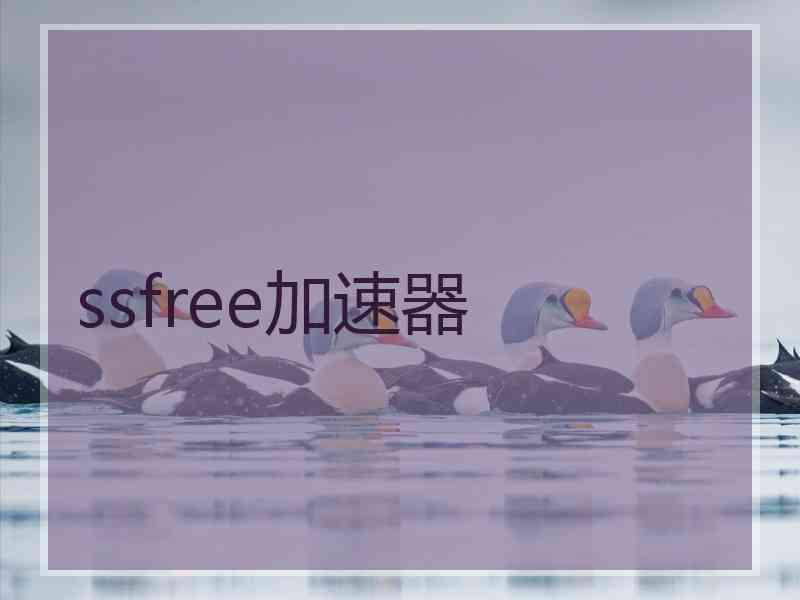 ssfree加速器