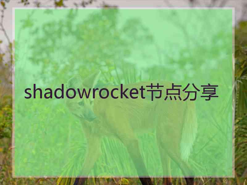 shadowrocket节点分享