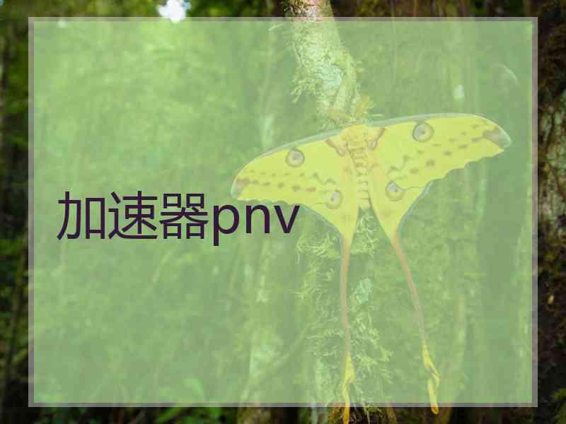 加速器pnv