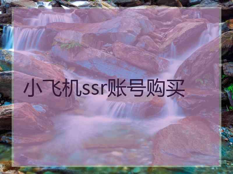 小飞机ssr账号购买