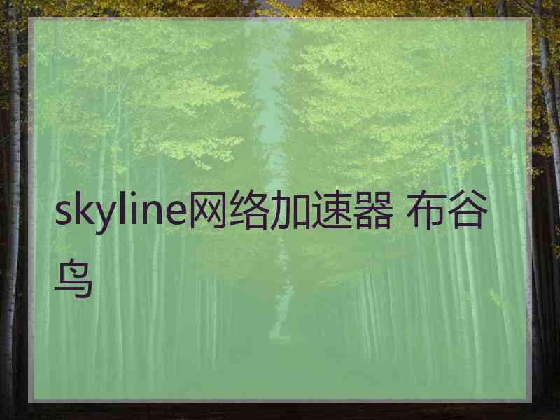 skyline网络加速器 布谷鸟