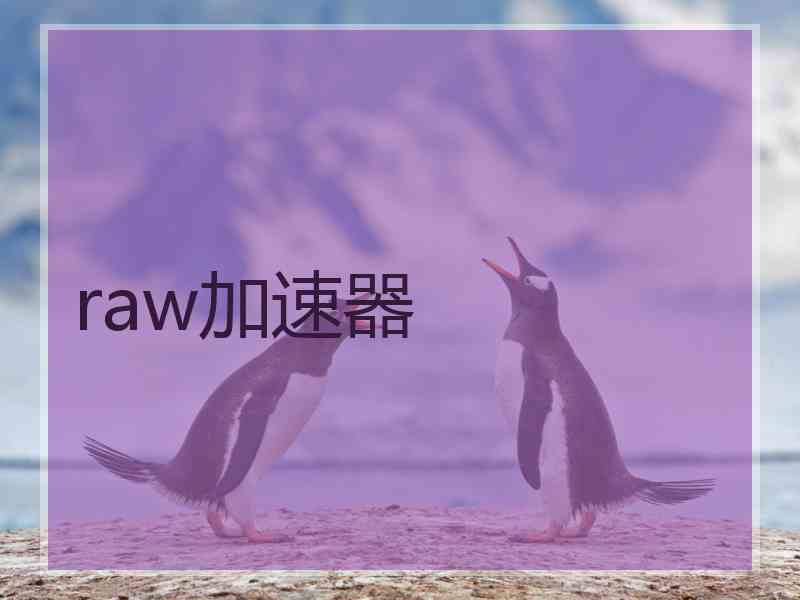 raw加速器