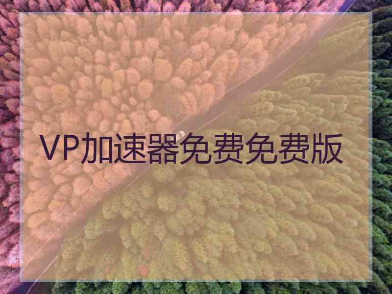 VP加速器免费免费版