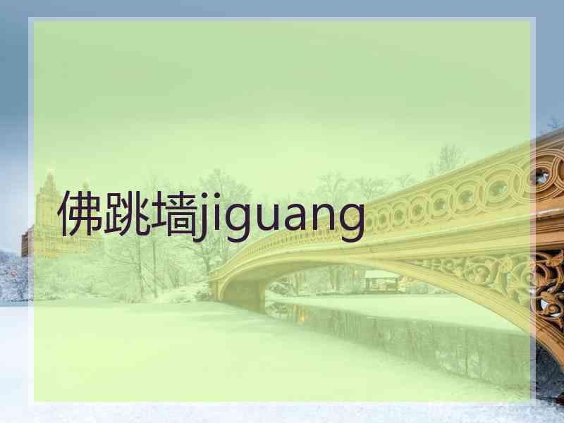 佛跳墙jiguang