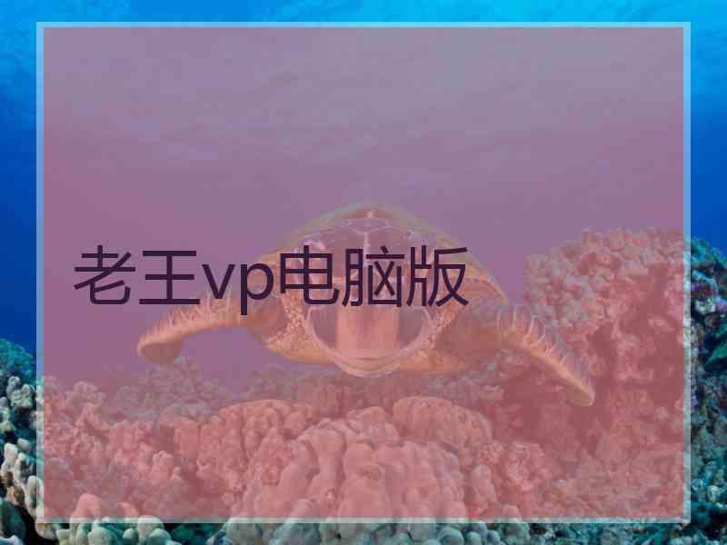 老王vp电脑版