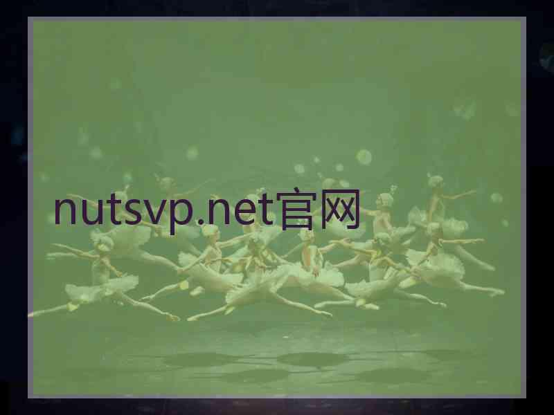 nutsvp.net官网