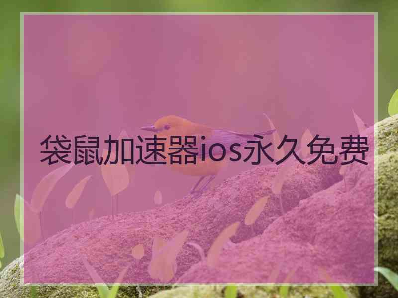 袋鼠加速器ios永久免费