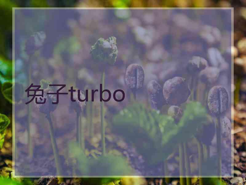 兔子turbo