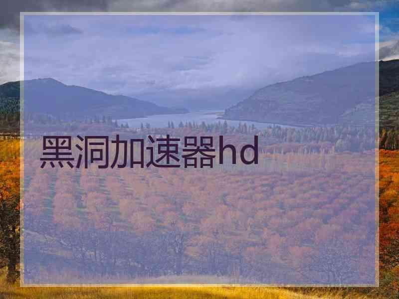 黑洞加速器hd